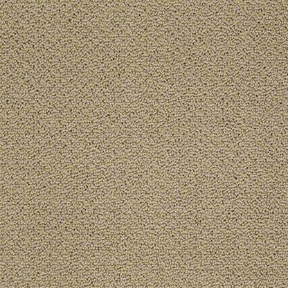 Captivating Waters Loop in Cologne Mist Carpet