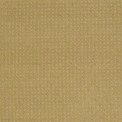 Natural Wonder Pattern