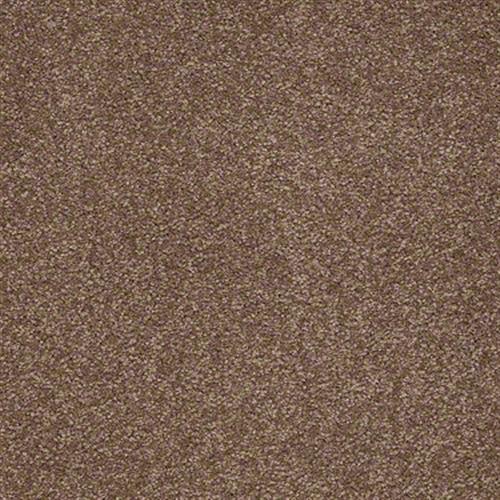 Dividing Line 12 in Tuscany Carpet