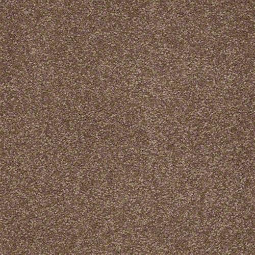 Radiant Vision II 12 in Thoroughbred Carpet