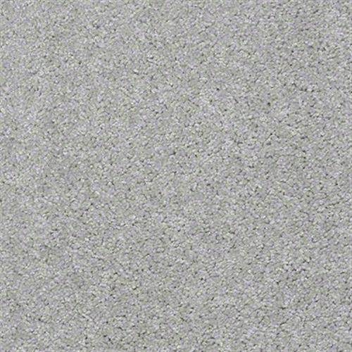 Jetliner in Rain Drop Carpet