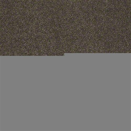 Cashmere I