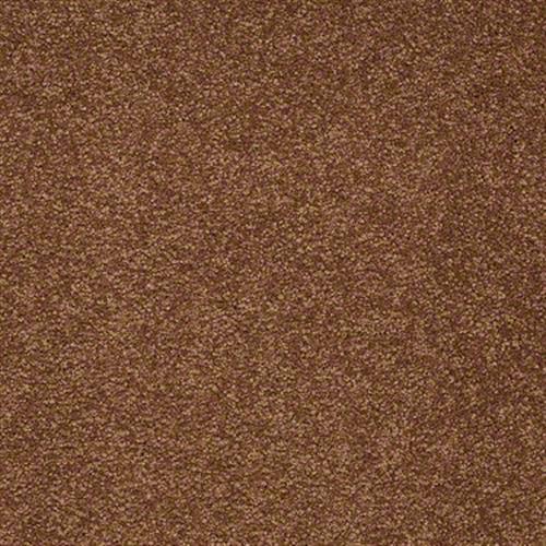 Radiant Vision III 15 in Copper Carpet