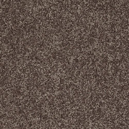VENTURE SOLID in Mocha Carpet