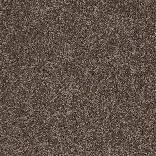 VENTURE SOLID in Mocha Carpet