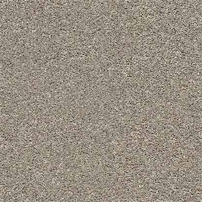 COMMANDING SOLID in Forever Pewter Carpet
