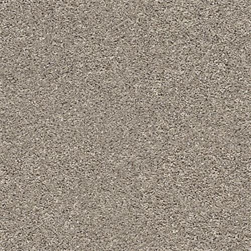 COMMANDING SOLID in Forever Pewter Carpet