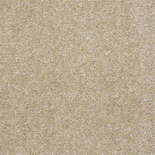 Unique Style in Seed Carpet