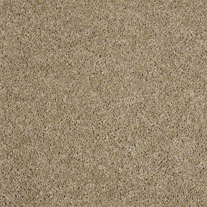 Coastal Dreams(S) in Creekbed Carpet