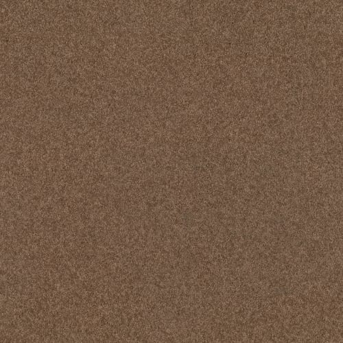 Aba 7013 in Candied Truffle Carpet