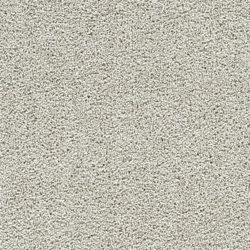 Captivating II in Anaheim Carpet