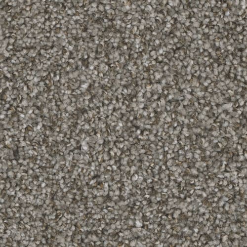 Mount Rainier I in Bay Dunes Carpet