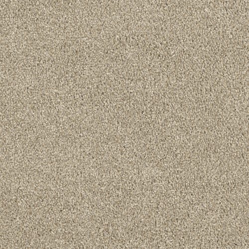 Bel Air in Oyster Shoal Carpet