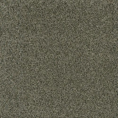 Acclaim in Midnight Shadow Carpet