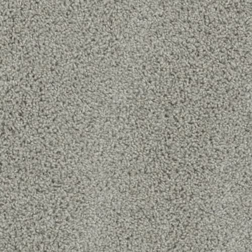 Alpine in Dove Carpet