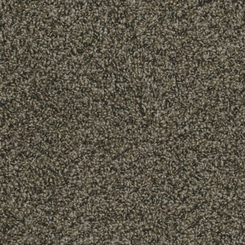 Columbia in Rustic Charm Carpet