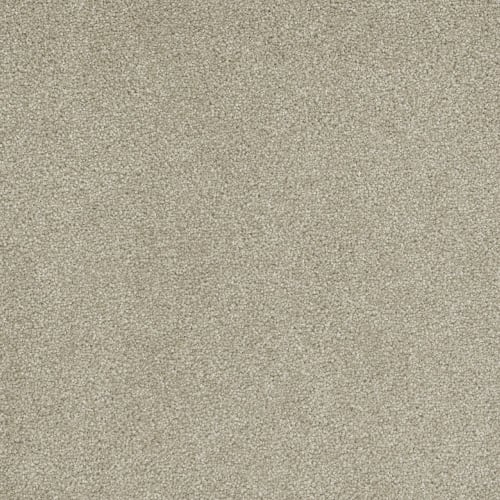 Coronado III in Cream Carpet