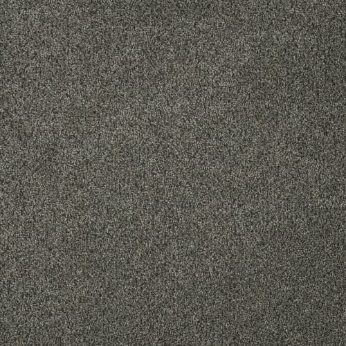 Newport I in Smoky Quartz Carpet