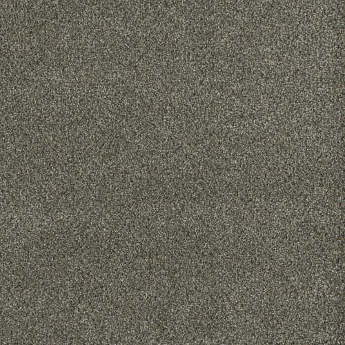 Newport II in Brentwood Carpet