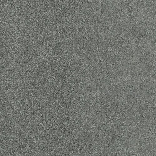 Profound I in Stellar Carpet