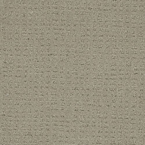 In Style in Beach House Carpet