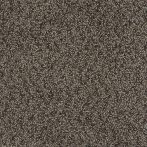 Step Up in Rustic Charm Carpet
