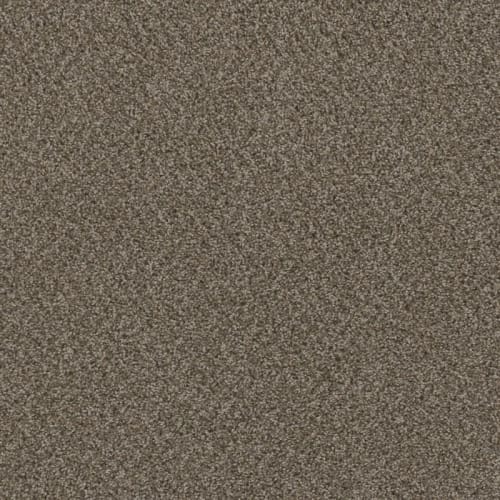 Hot Pursuit in Desert Jasper Carpet