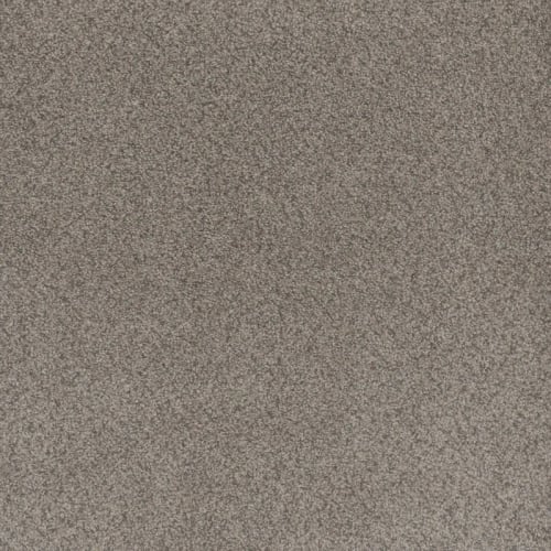 Beach Club II in Canyon Carpet