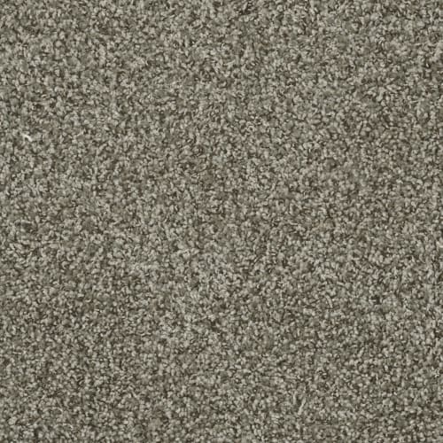 Wolverine in Asbury Carpet