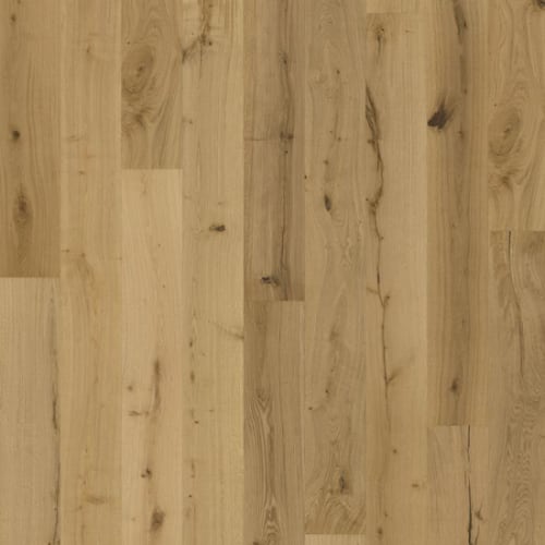 Texture Collection in Natur Hardwood