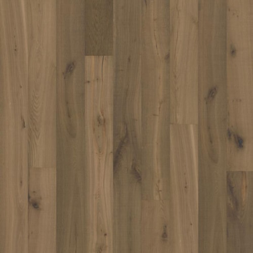 Texture Collection in Grau Hardwood