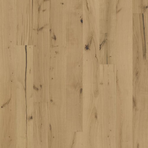 Texture Collection in Rohoptic Hardwood