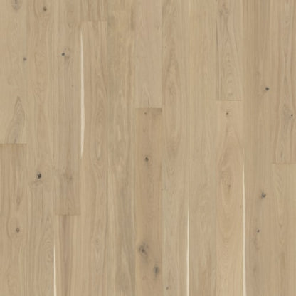 Lux Collection in Oak Eggshell Hardwood
