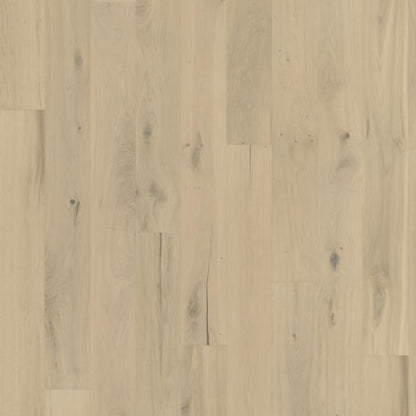 Beyond Retro Collection in Frosted Oat Plank Hardwood