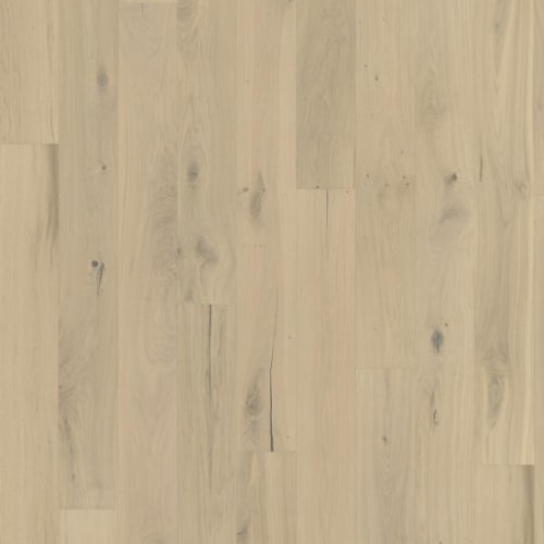 Beyond Retro Collection in Frosted Oat Plank Hardwood