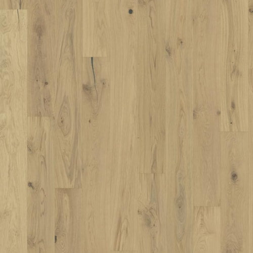 Beyond Retro Collection in Urban Brown Plank Hardwood