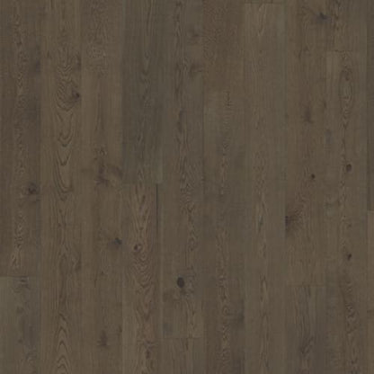 Beyond Retro Collection in Charcoal Light Plank Hardwood