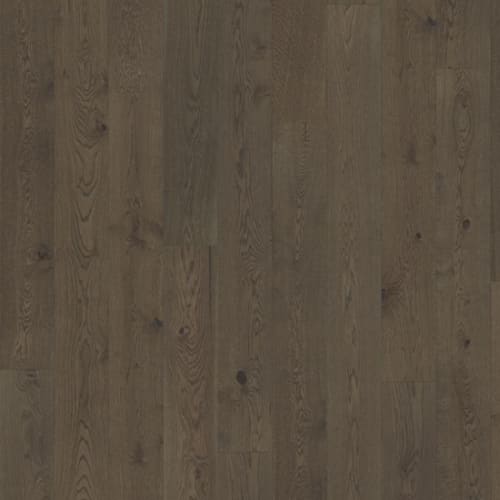Beyond Retro Collection in Charcoal Light Plank Hardwood