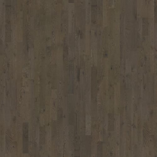 Beyond Retro Collection in Charcoal Light Strip Hardwood