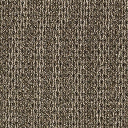 True Form in Tactile Taupe Carpet