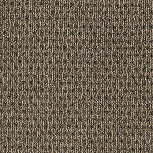 True Form in Tactile Taupe Carpet