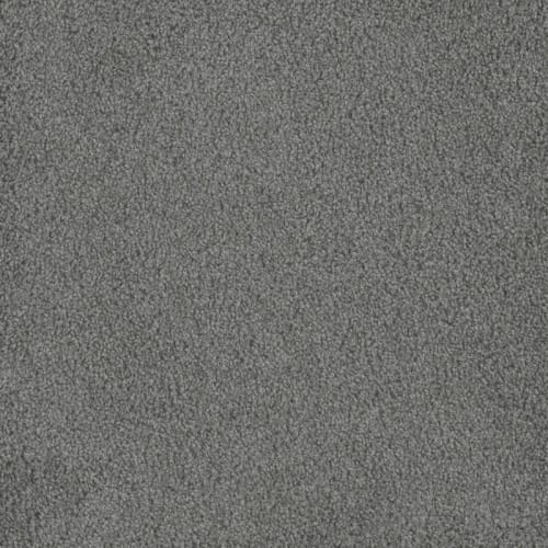 Hammond Creek I in Stellar Carpet