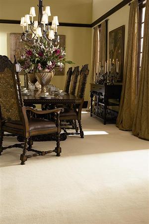 Chez 100 in Mauve Carpet