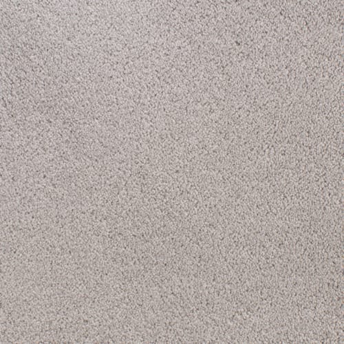 Accolade in Silver Wood Carpet