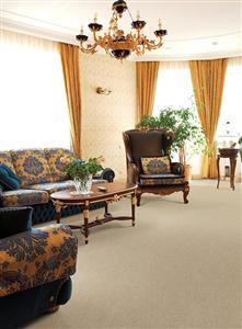 Denali in Toasted Rose Carpet