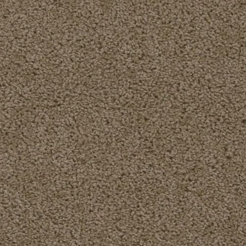 Sweepstakes in Taupe Carpet