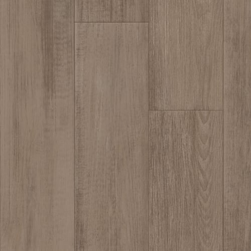 First Class in Falcon Vinyl Sheet Goods