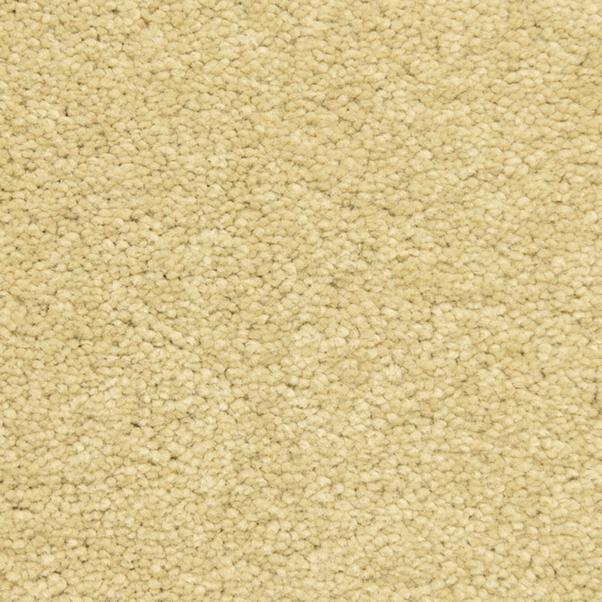 Esperanza in Desierto Carpet