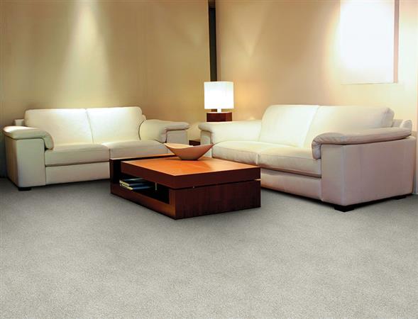 Innovations in Balsam Carpet