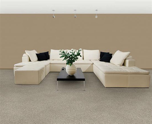 Semitones in Espresso Carpet